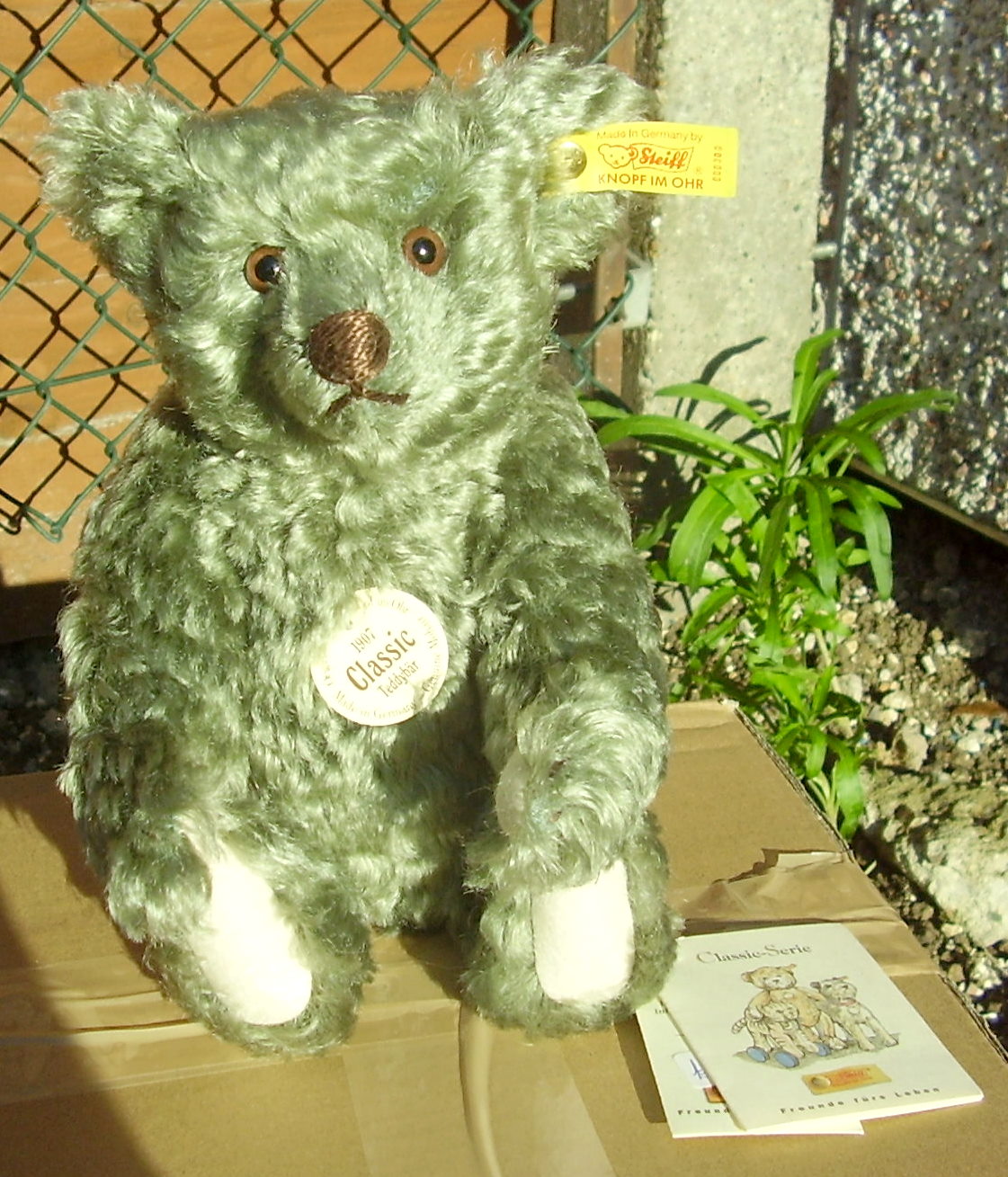 ted56.jpg